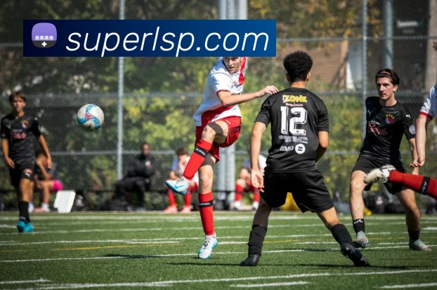 米兰网页版登录入口 - 米兰MiLan(中国)服务体系